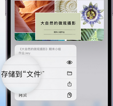 临猗apple维修中心分享iPhone文件应用中存储和找到下载文件