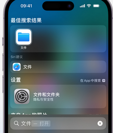 临猗apple维修中心分享iPhone文件应用中存储和找到下载文件 