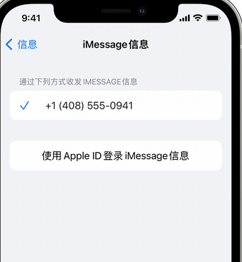 临猗apple维修iPhone上无法正常发送iMessage信息 