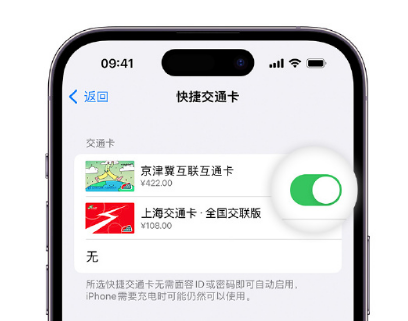 临猗apple维修点分享iPhone上更换Apple Pay快捷交通卡手绘卡面 