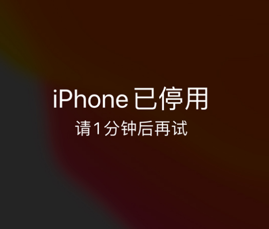 临猗苹果手机维修分享:iPhone 显示“不可用”或“已停用”怎么办？还能保留数据吗？ 