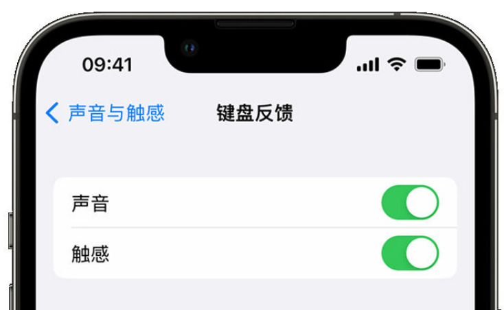 临猗苹果手机维修分享iPhone 14触感键盘使用方法 