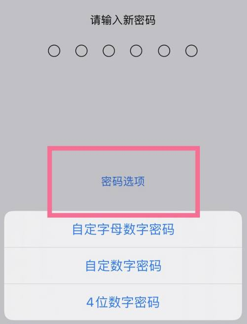 临猗苹果14维修分享iPhone 14plus设置密码的方法 