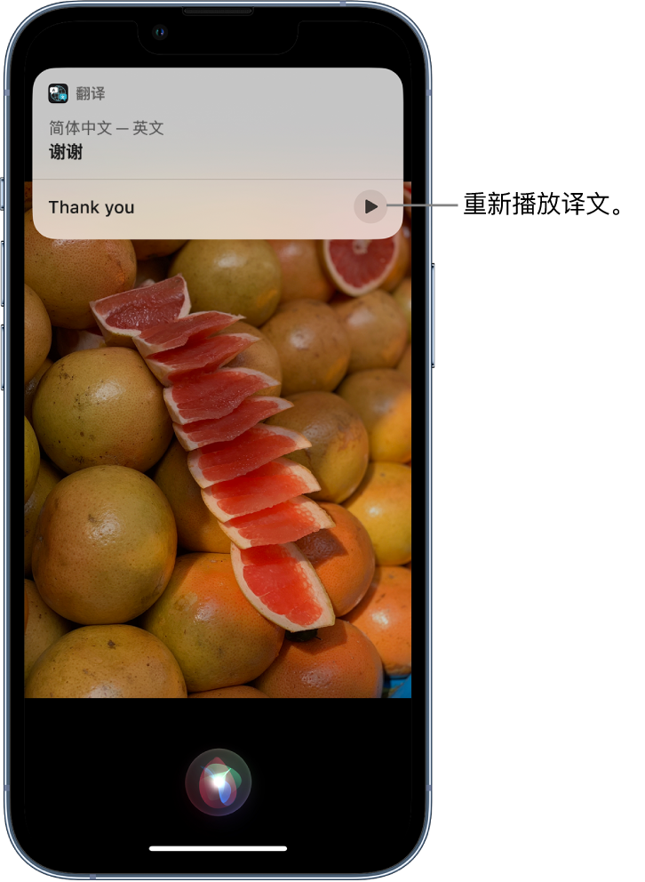 临猗苹果14维修分享 iPhone 14 机型中使用 Siri：了解 Siri 能帮你做什么 