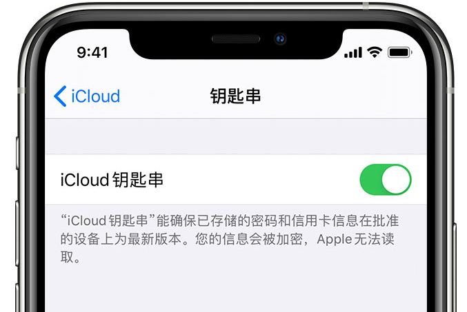 临猗苹果手机维修分享在 iPhone 上开启 iCloud 钥匙串之后会储存哪些信息 