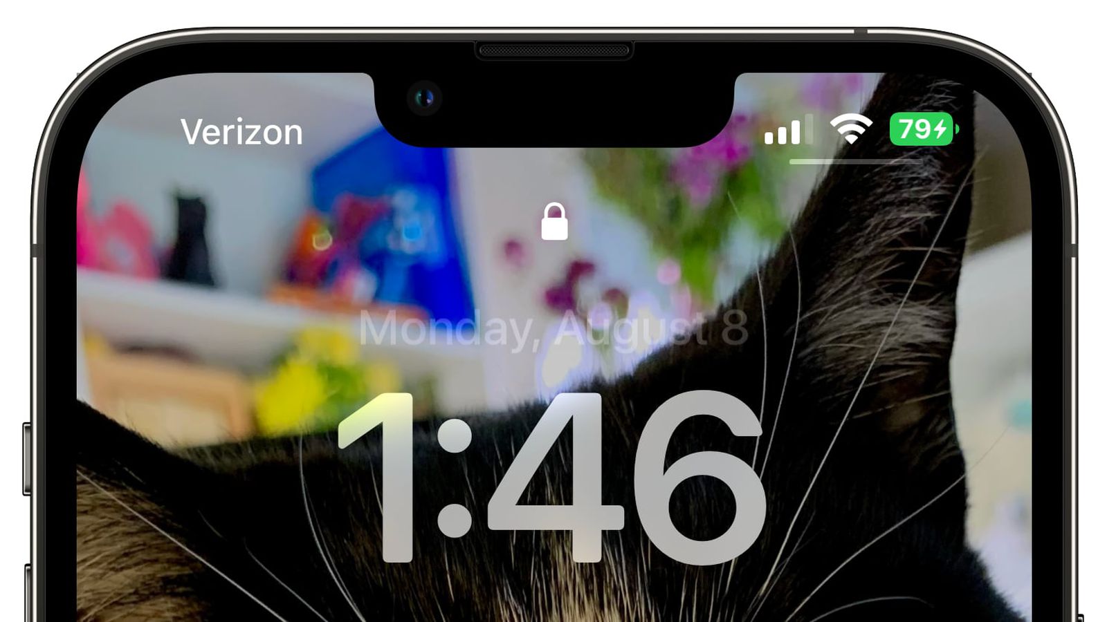 临猗苹果手机维修分享iOS 16 beta 5 支持状态栏显示电池百分比，如何开启？支持哪些机型 