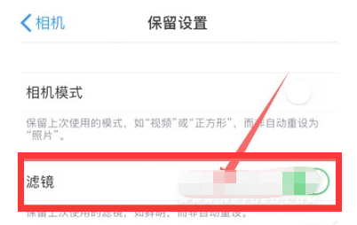 临猗苹果13维修分享iPhone13拍照有绿点是怎么回事 