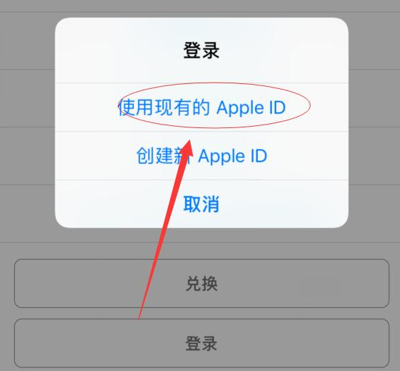 临猗苹果手机维修分享两台iPhone设备可以同时登录一个Apple ID吗 