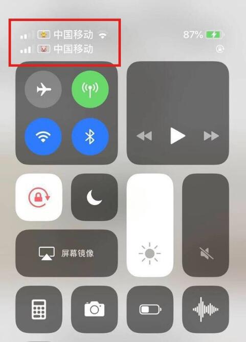 临猗苹果手机维修分享为 iPhone 12 双卡设置标签 